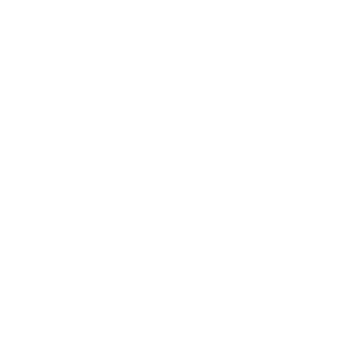 delasmartgadget